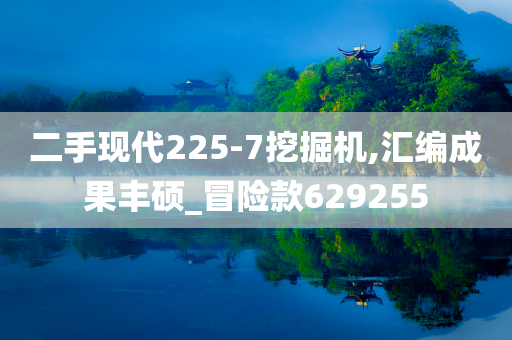 二手现代225-7挖掘机,汇编成果丰硕_冒险款629255