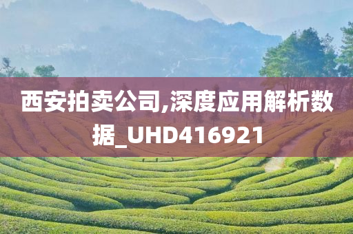 西安拍卖公司,深度应用解析数据_UHD416921