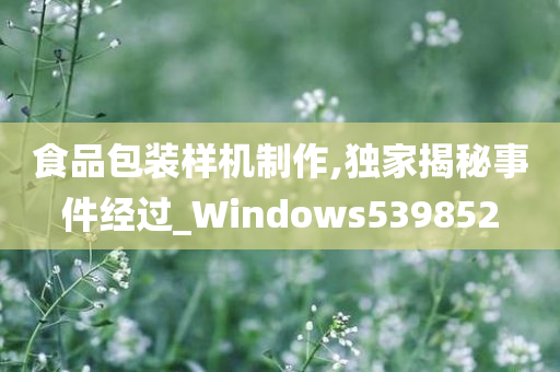 食品包装样机制作,独家揭秘事件经过_Windows539852