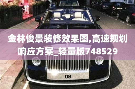 金林俊景装修效果图,高速规划响应方案_轻量版748529