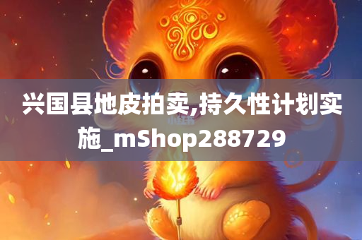 兴国县地皮拍卖,持久性计划实施_mShop288729