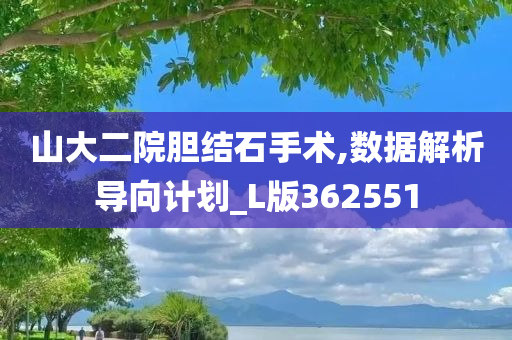 山大二院胆结石手术,数据解析导向计划_L版362551