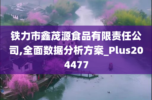 铁力市鑫茂源食品有限责任公司,全面数据分析方案_Plus204477