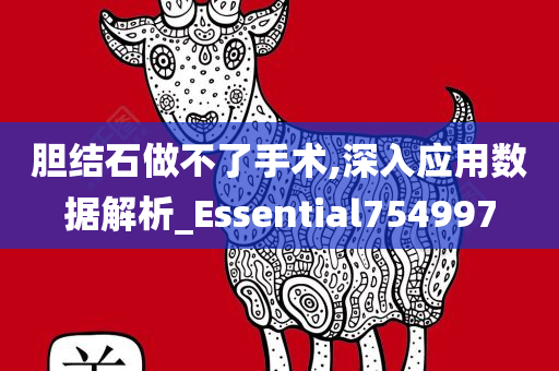 胆结石做不了手术,深入应用数据解析_Essential754997