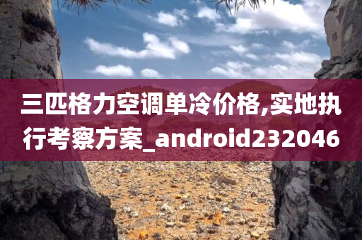 三匹格力空调单冷价格,实地执行考察方案_android232046