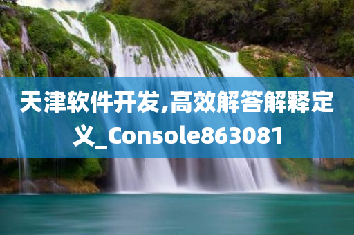 天津软件开发,高效解答解释定义_Console863081