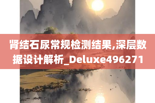 肾结石尿常规检测结果,深层数据设计解析_Deluxe496271