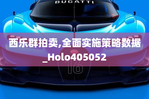 西乐群拍卖,全面实施策略数据_Holo405052