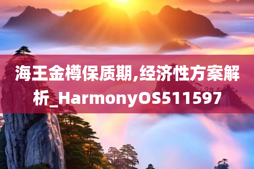 海王金樽保质期,经济性方案解析_HarmonyOS511597