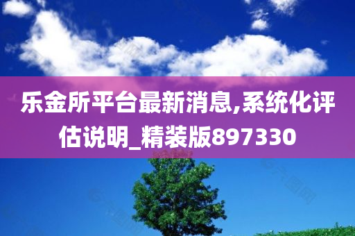 乐金所平台最新消息,系统化评估说明_精装版897330