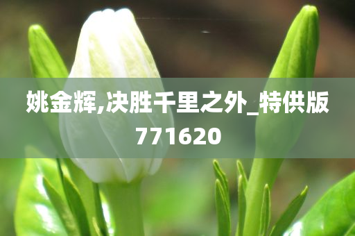 姚金辉,决胜千里之外_特供版771620