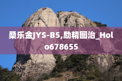 桑乐金JYS-B5,励精图治_Holo678655