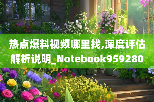 热点爆料视频哪里找,深度评估解析说明_Notebook959280