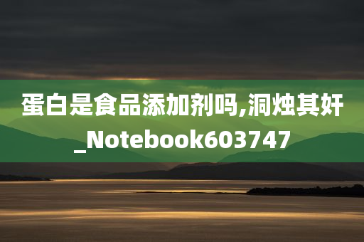 蛋白是食品添加剂吗,洞烛其奸_Notebook603747