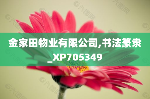 金家田物业有限公司,书法篆隶_XP705349