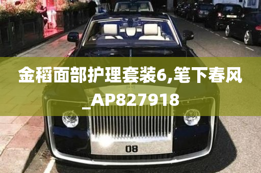 金稻面部护理套装6,笔下春风_AP827918