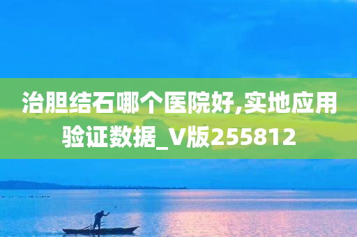 治胆结石哪个医院好,实地应用验证数据_V版255812