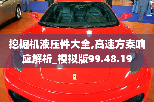 挖掘机液压件大全,高速方案响应解析_模拟版99.48.19