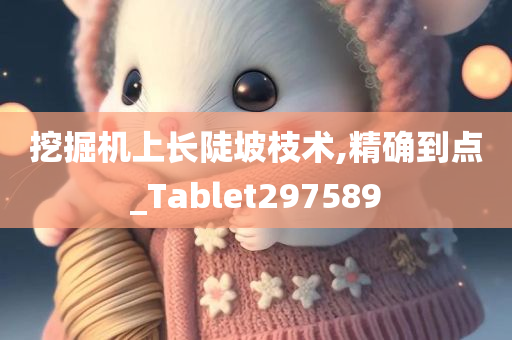 挖掘机上长陡坡枝术,精确到点_Tablet297589