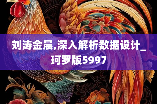 刘涛金晨,深入解析数据设计_珂罗版5997