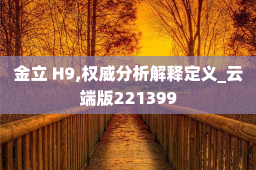 金立 H9,权威分析解释定义_云端版221399