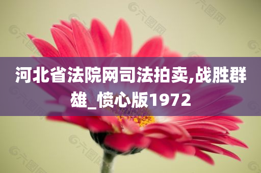 河北省法院网司法拍卖,战胜群雄_愤心版1972