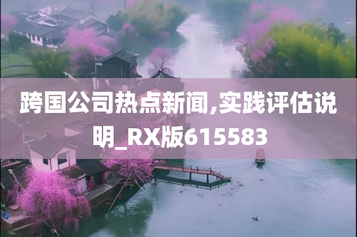 跨国公司热点新闻,实践评估说明_RX版615583