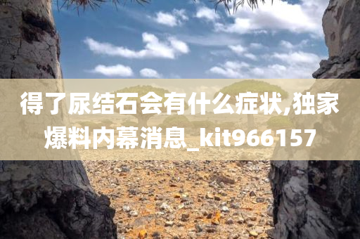 得了尿结石会有什么症状,独家爆料内幕消息_kit966157