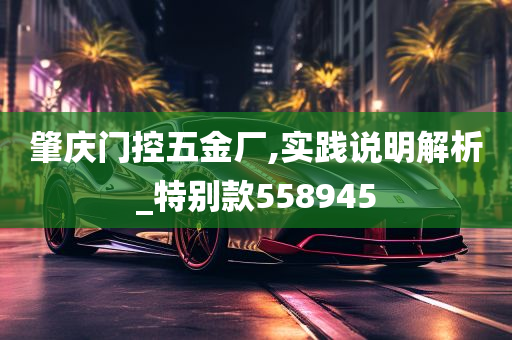 肇庆门控五金厂,实践说明解析_特别款558945