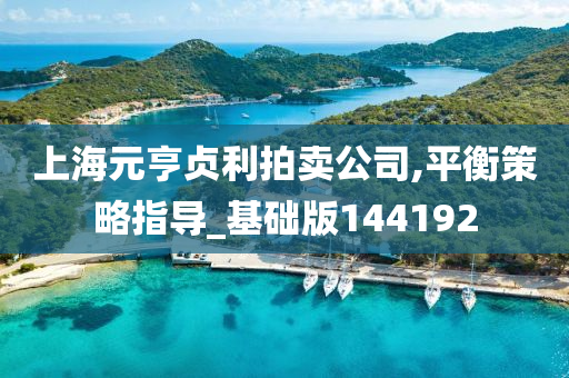 上海元亨贞利拍卖公司,平衡策略指导_基础版144192