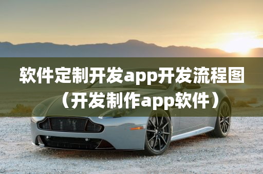 软件定制开发app开发流程图（开发制作app软件）