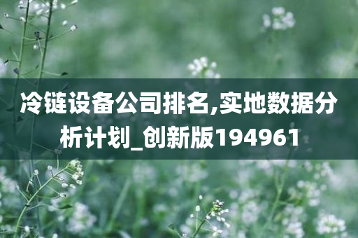 冷链设备公司排名,实地数据分析计划_创新版194961