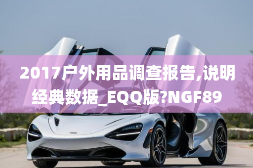 2017户外用品调查报告,说明经典数据_EQQ版?NGF89