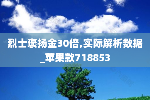 烈士褒扬金30倍,实际解析数据_苹果款718853