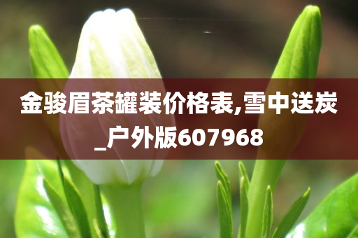 金骏眉茶罐装价格表,雪中送炭_户外版607968