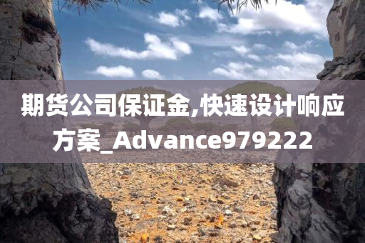 期货公司保证金,快速设计响应方案_Advance979222