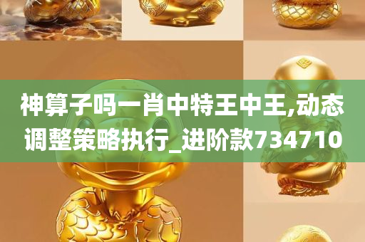 神算子吗一肖中特王中王,动态调整策略执行_进阶款734710