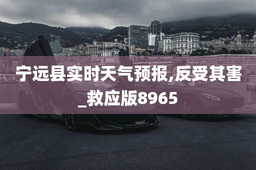 宁远县实时天气预报,反受其害_救应版8965