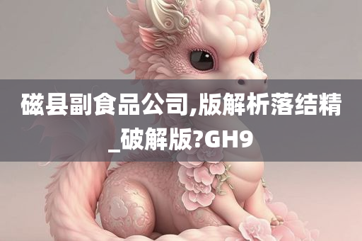 磁县副食品公司,版解析落结精_破解版?GH9