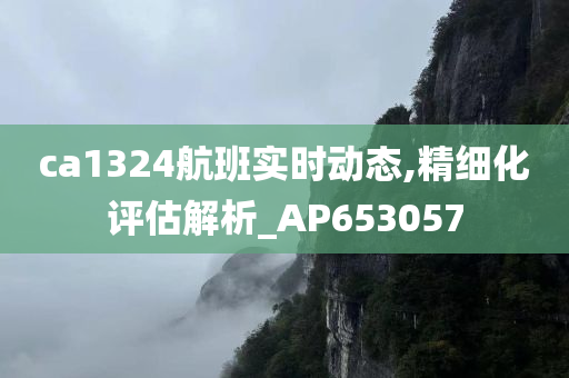 ca1324航班实时动态,精细化评估解析_AP653057