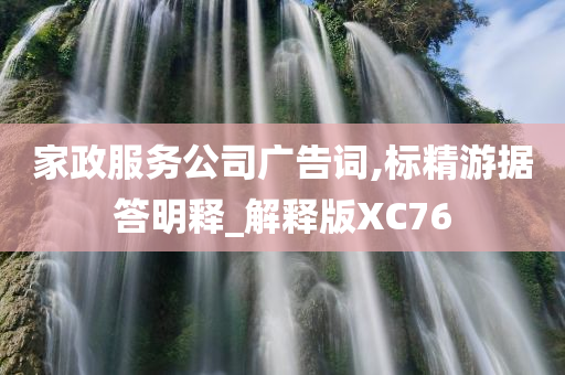 家政服务公司广告词,标精游据答明释_解释版XC76