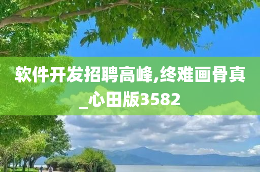 软件开发招聘高峰,终难画骨真_心田版3582