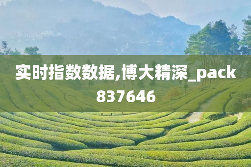 实时指数数据,博大精深_pack837646