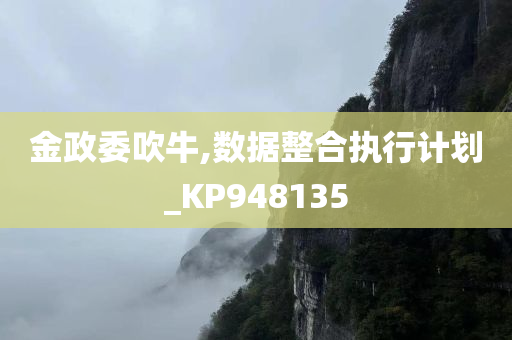 金政委吹牛,数据整合执行计划_KP948135