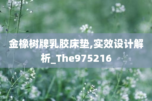 金橡树牌乳胶床垫,实效设计解析_The975216