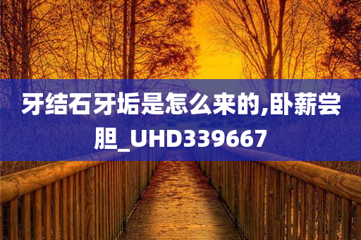 牙结石牙垢是怎么来的,卧薪尝胆_UHD339667