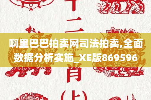 啊里巴巴拍卖网司法拍卖,全面数据分析实施_XE版869596