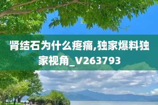 肾结石为什么疼痛,独家爆料独家视角_V263793