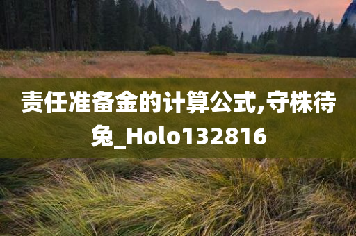 责任准备金的计算公式,守株待兔_Holo132816