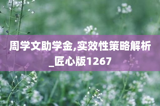 周学文助学金,实效性策略解析_匠心版1267